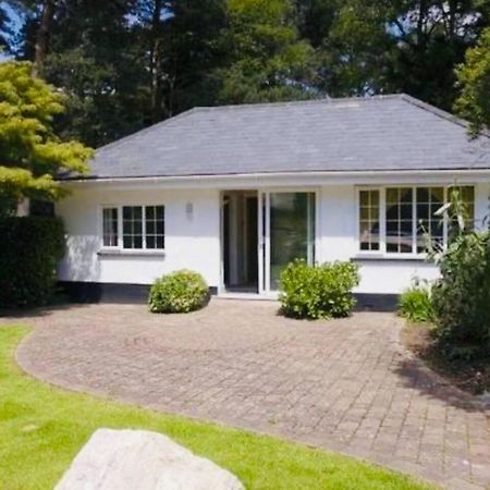 Chadham Pines Cottage Poole Eksteriør bilde